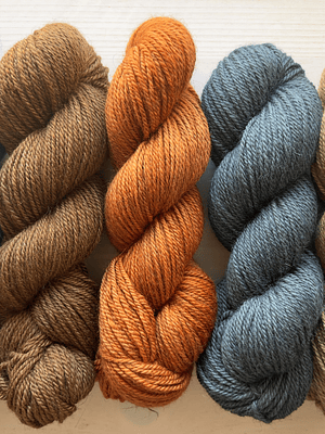 Serafina BFL+Masham Aran
