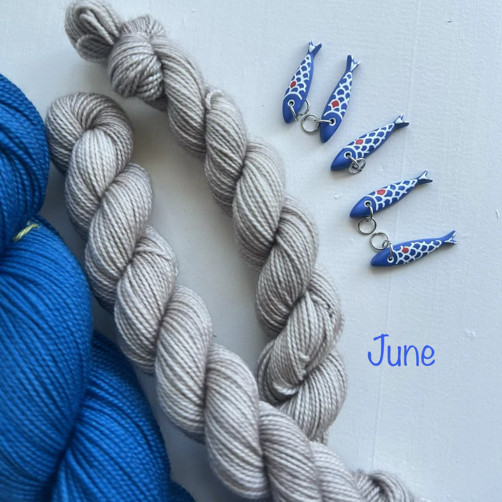Serafina Sock Yarn Club 1