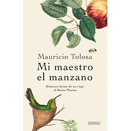 MI MAESTRO EL MANZANO
