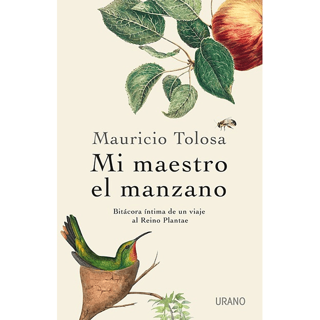 MI MAESTRO EL MANZANO