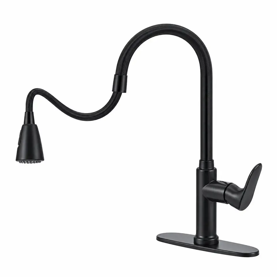 Monocontrol lavaplatos negro (ref. 8550) 1
