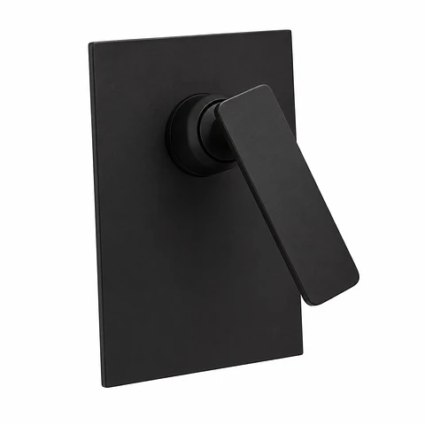 Monocontrol Ducha Plano Negro