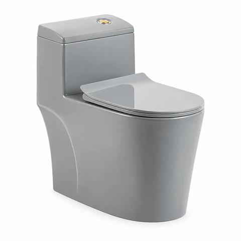 Sanitario Gris One-Piece S-Trap 300 mm