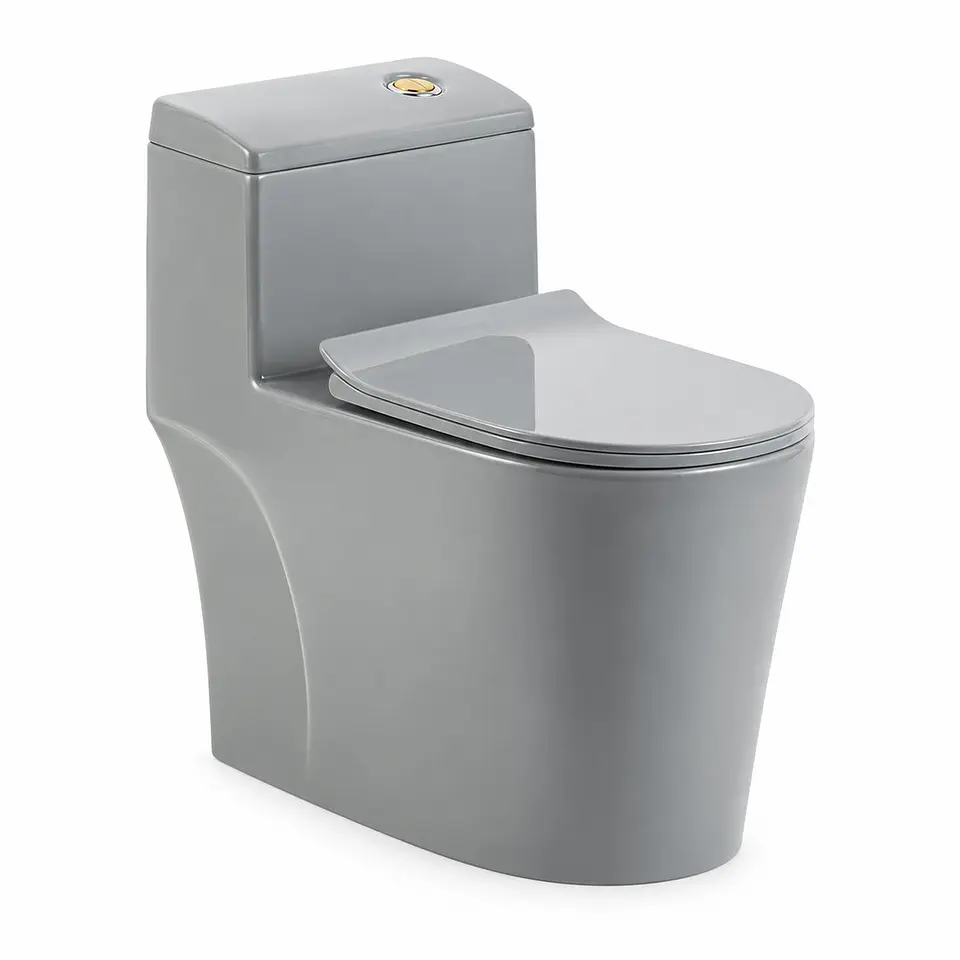 Sanitario Gris One-Piece S-Trap 300 mm 1
