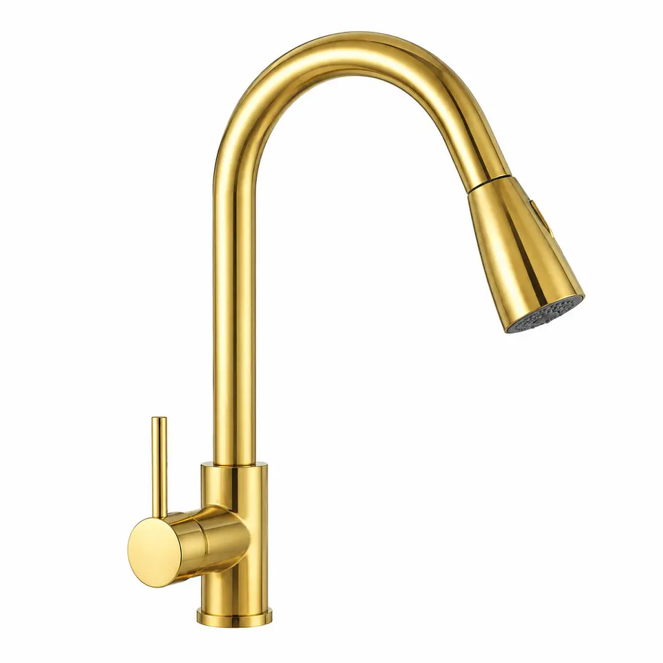 Monocontrol Lavaplatos Extraible Oro Brillante 1