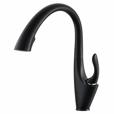 Monocontrol Lavaplatos Cisne Industrial Extraible Negro (ref. FT2743)