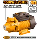 BOMBA DE AGUA  550W(0.75HP) - Miniatura 1