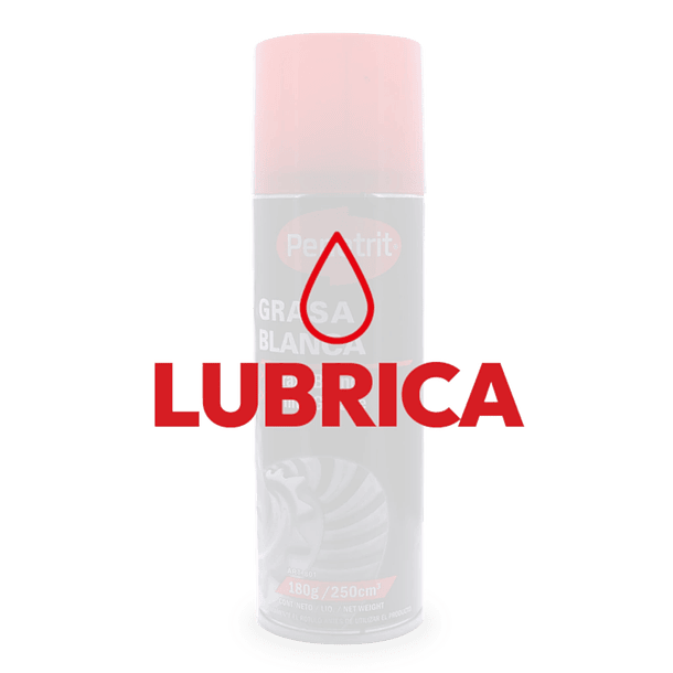 GRASA BLANCA AEROSOL 250CM3 2