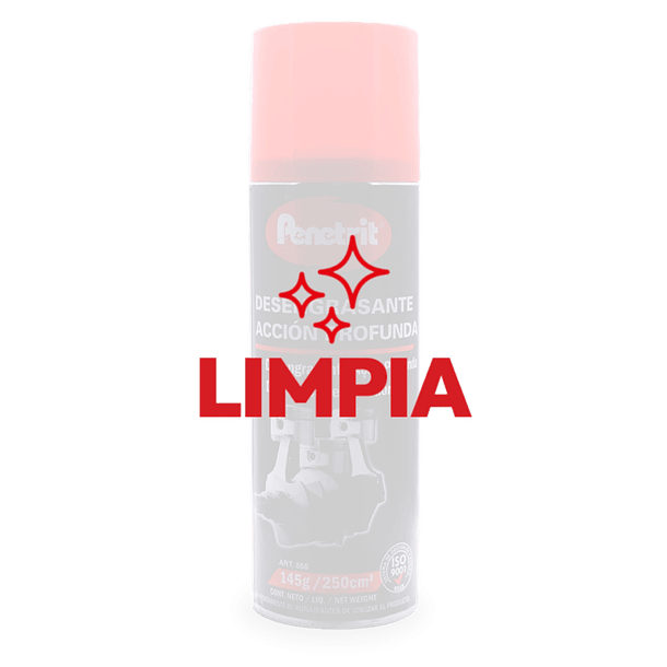 DESENGRASANTE ACCION PROFUNDA 250CM3 2