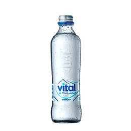 Agua Mineral Vidrio Desech. C/Gas 12 X 330 Ml Vital 