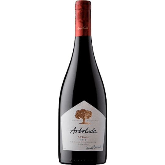 Vino Pinot Noir 750 cc Arboleda 