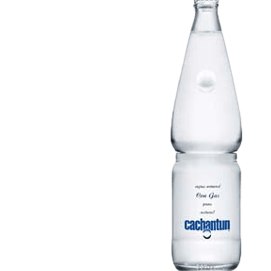 Agua C/Gas Vidrio 24 X 350 Ml Cachantun