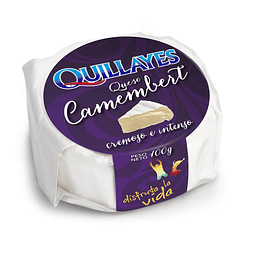 Queso Camembert 100 Gr Quillayes