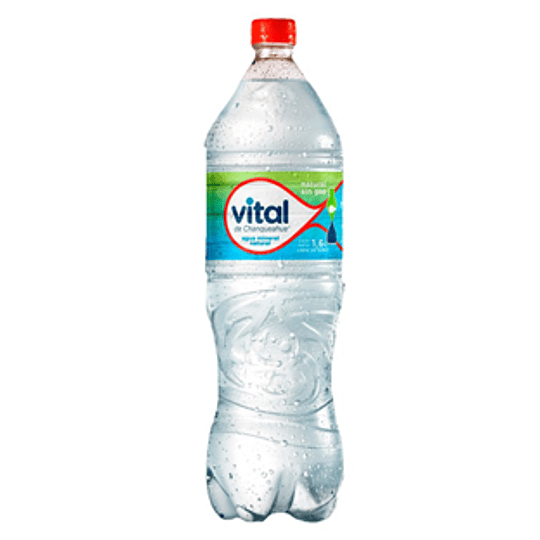 Agua Mineral Desechable S/Gas 1,6 Lt Vital