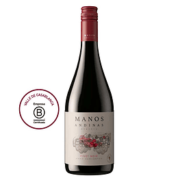 Vino Tinto Pinot Noir Reserva 750 Ml Manos Andinas