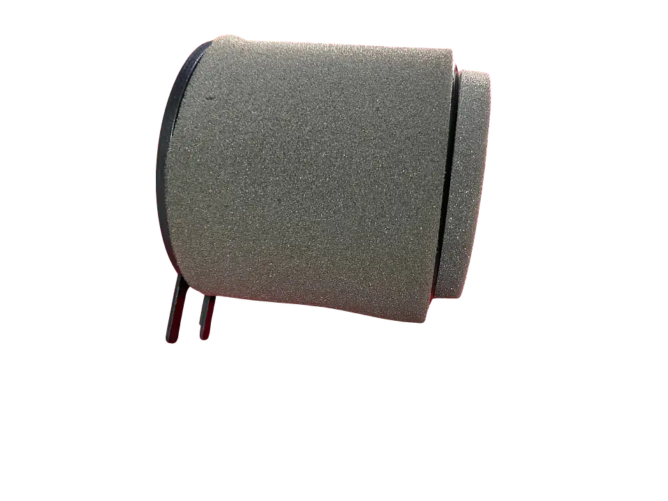 Filtro de Aire EUROMOT Rex-150 Original  2