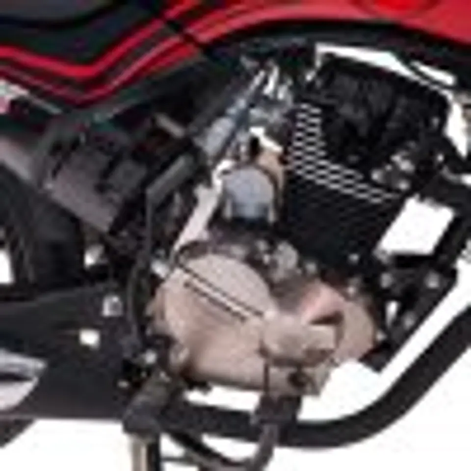 EUROMOT REX-150 CBS 4