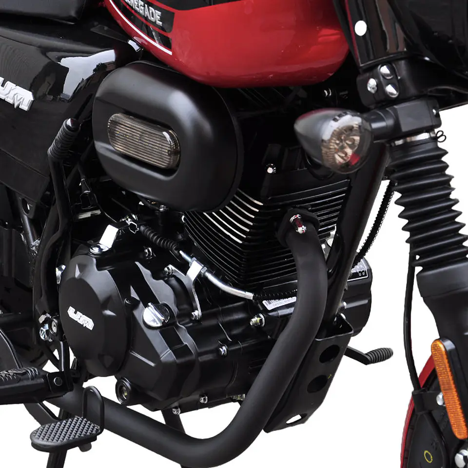 Renegade Sport 150 S 19