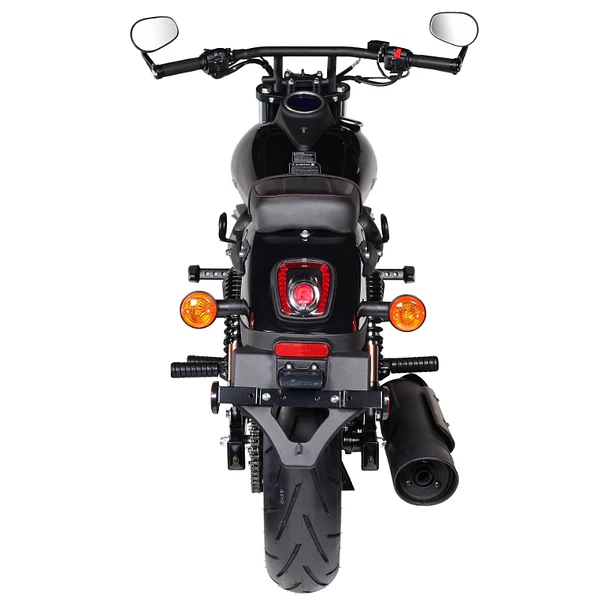 Renegade Freedom 300 6