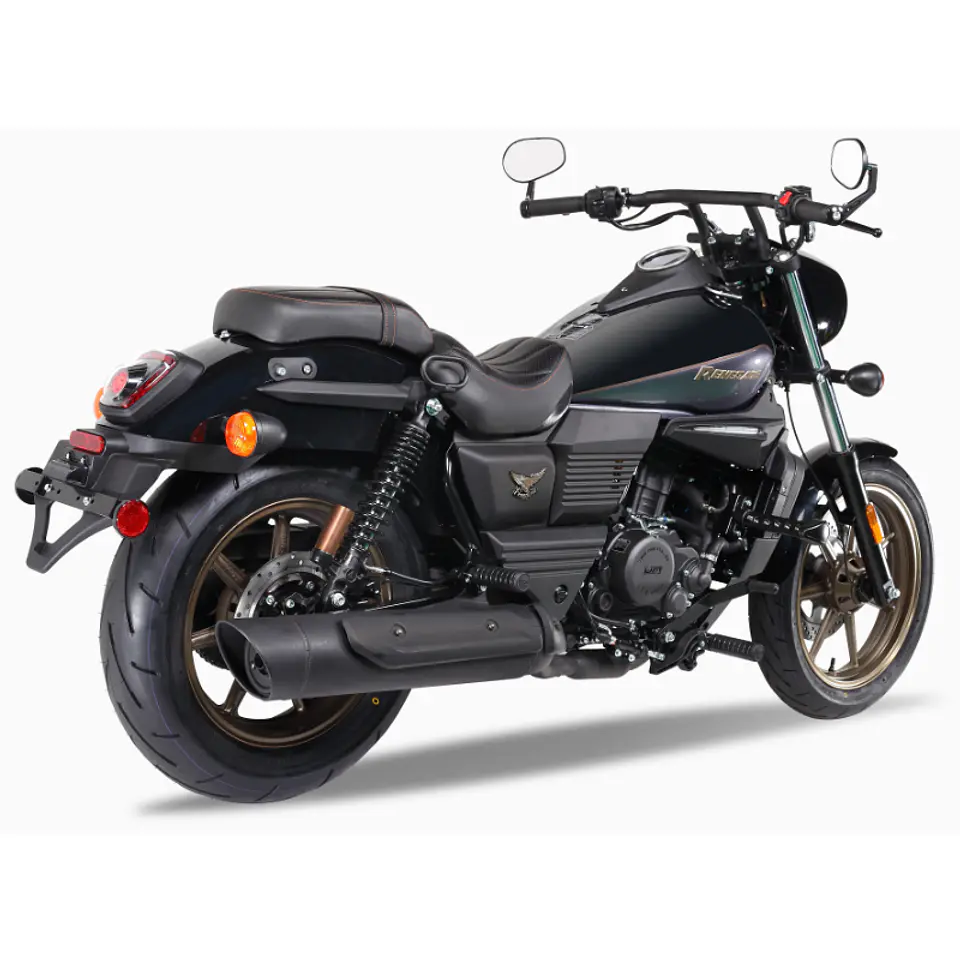 Renegade Freedom 300 8