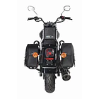 Renegade Classic 300 5