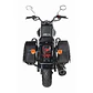 Renegade Classic 300 - Miniatura 5
