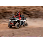 SEGWAY SNARLER AT5 L HOMOLOGADA 3
