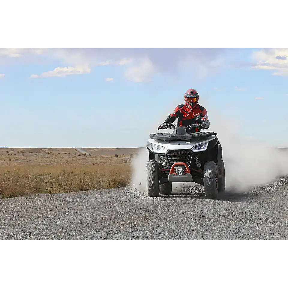 SEGWAY SNARLER AT6 L HOMOLOGADA 10