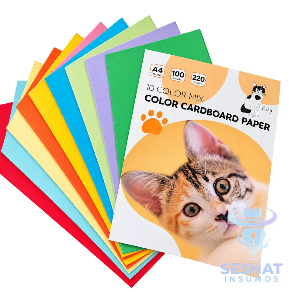 Cartulina de Colores Imprimible A4 220 g 100 Hojas | 10 Colores 1