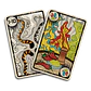 Spicy - Miniatura 2
