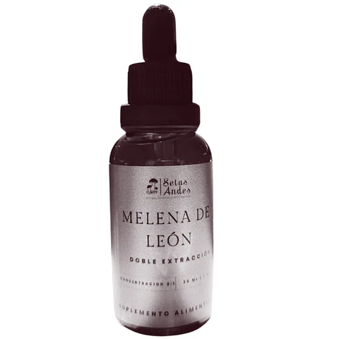 Extracto de Melena de León (Hericium erinaceus) – 30 ml | Extracto 3:1