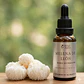 Extracto de Melena de León (Hericium erinaceus) – 30 ml | Extracto 3:1 - Miniatura 1