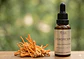 🐛 Extracto de Cordyceps militaris – 30 ml | Extracto 3:1 - Miniatura 1