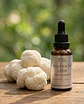 Extracto de Melena de León (Hericium erinaceus) – 30 ml | Extracto 3:1 - Miniatura 1