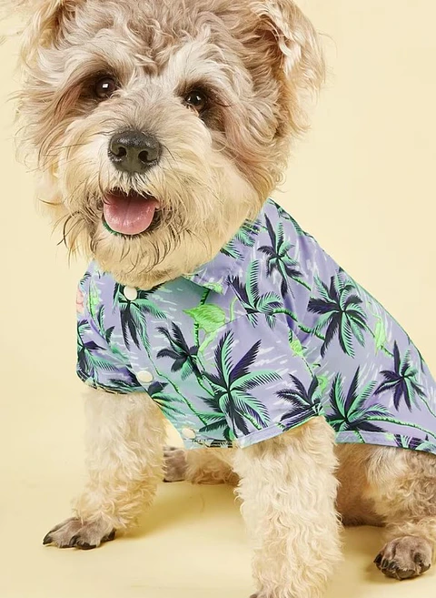 Dog shirt pattern, dog sleeveless t-shirt