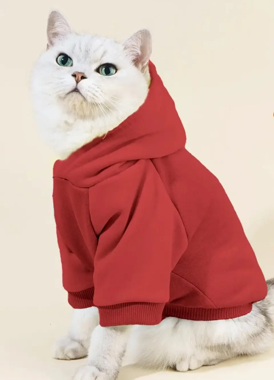Cat Hoodie Sewing Pattern, Pet Pattern 1