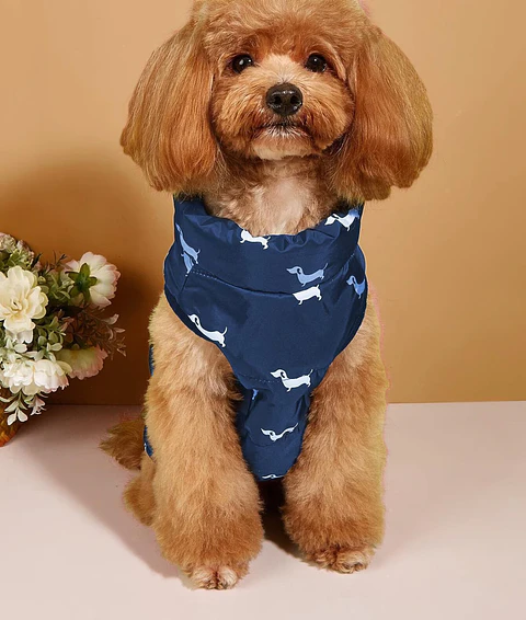 Sewing pattern for dog vest, dog coat, dog jacket, dog top pattern