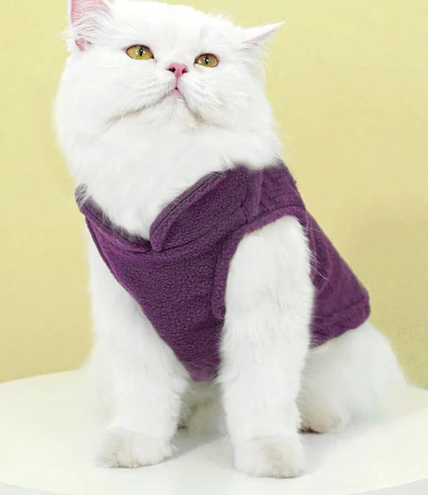Cat Sewing Pattern, Cat Top, Cat Jacket, Cat Clothes, Pet Sewing Pattern