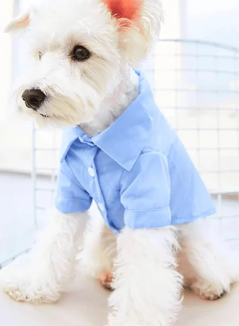 Dog Shirt Sewing Pattern, Dog Tank Top Pattern for dog