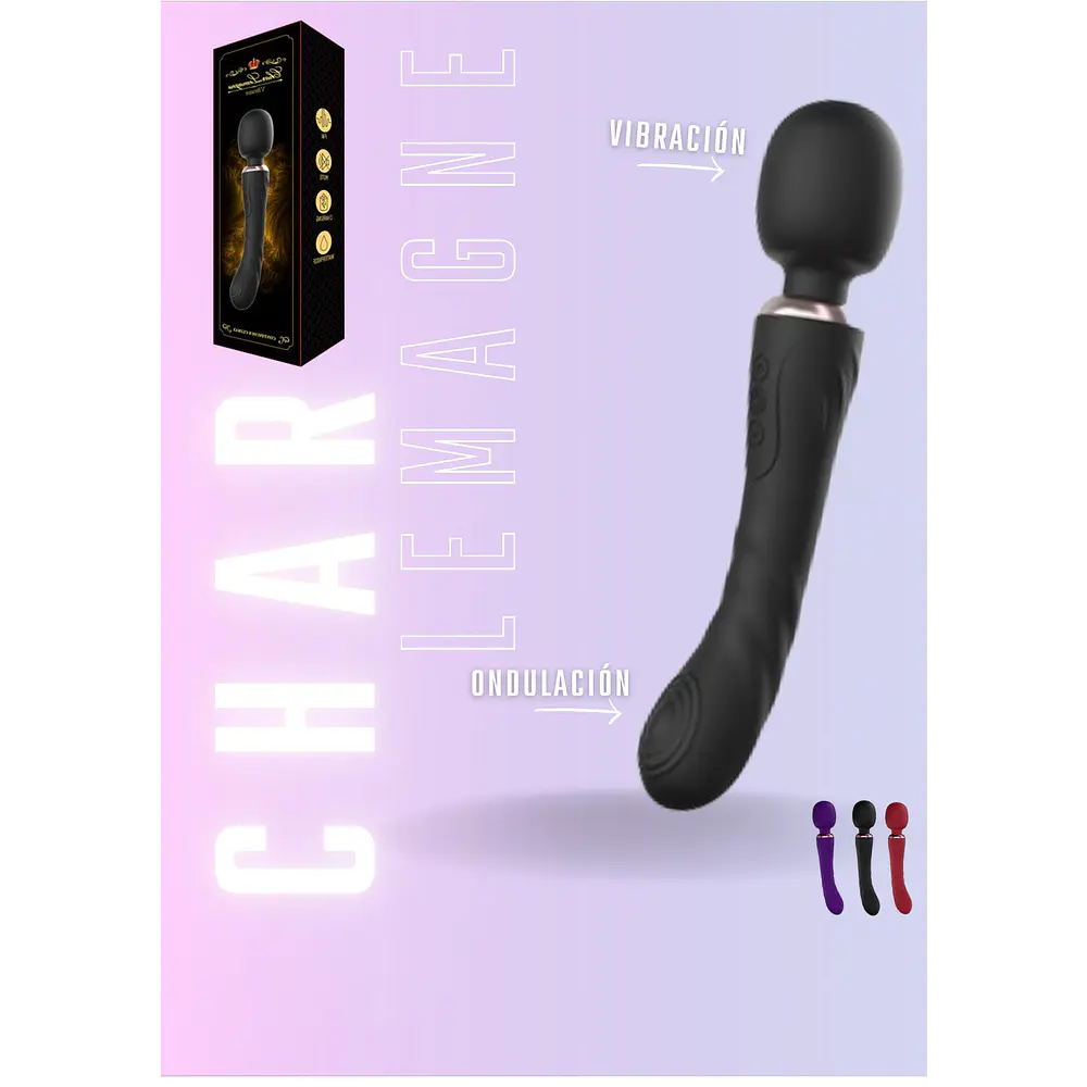 HITACHI CHAR 
