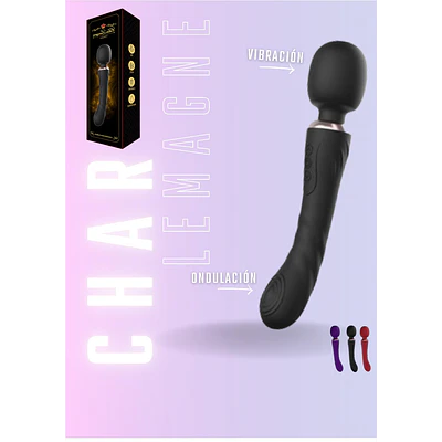 HITACHI CHAR 