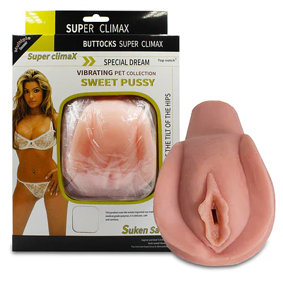 VAGINA PUSSY 