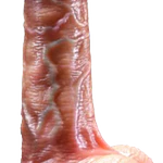consolador realistico fleshiness 