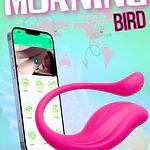 VIBRADOR APP MORNING BIRD 