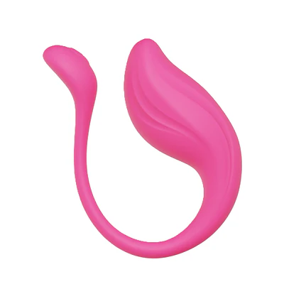 VIBRADOR APP MORNING BIRD 