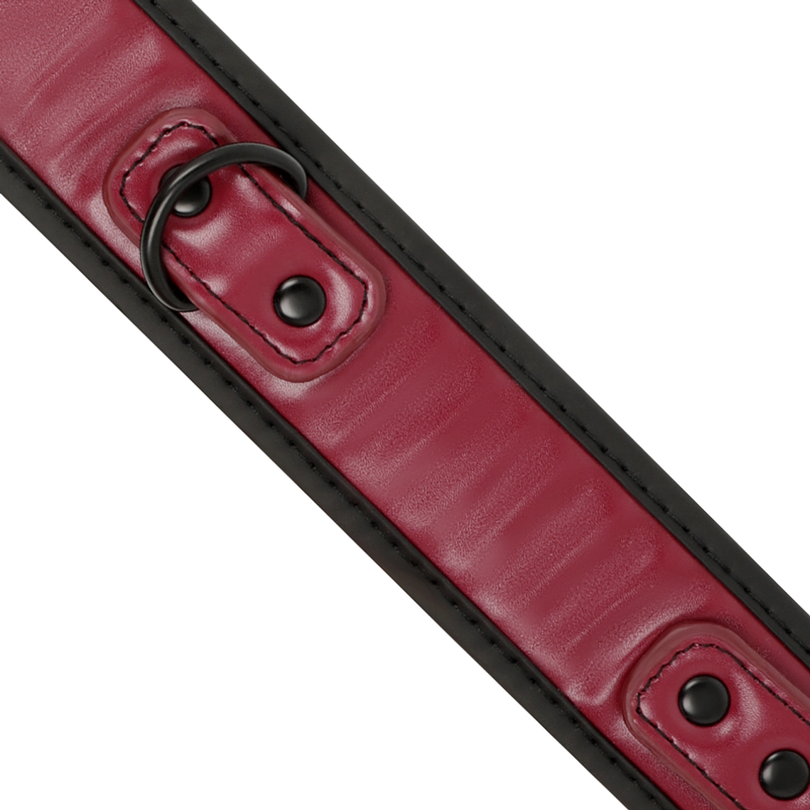 COLEIRA SUBMISSIVE COM TRELA 4