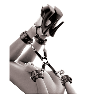 ALGEMA E TORNOZELEIRA