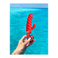 GVIBE GCANDY MINI CHILI CORAL VIBRADOR - Thumbnail 4