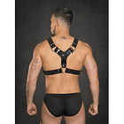 Kinky Dude Pitbull Harness 4