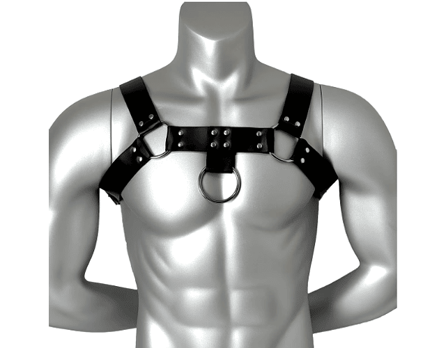 Arnes Bdsm